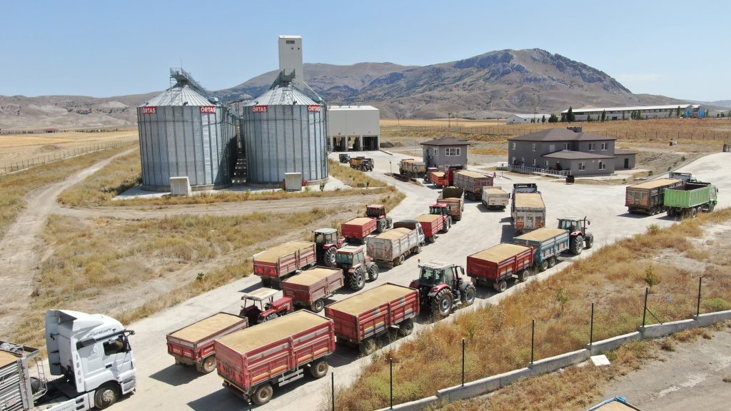 Kuraklık Bu Yılki Hasadı Vurdu: TMO’dan Kritik Açıklama AW512808 02 | Gündem Sivas™ Haber