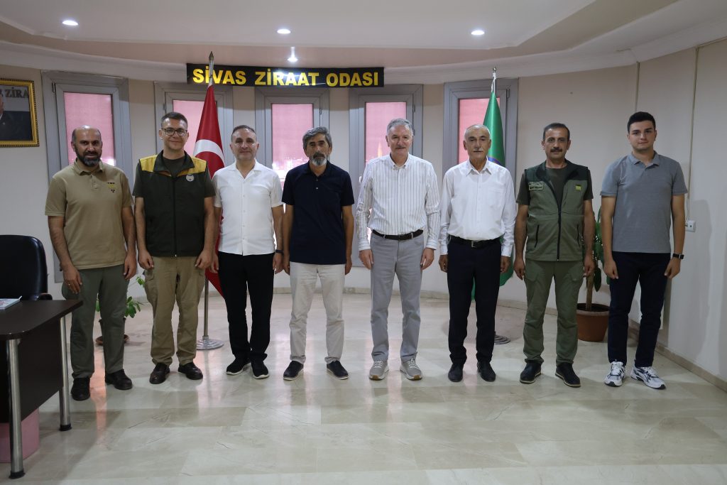 Kuraklık Bu Yılki Hasadı Vurdu: TMO’dan Kritik Açıklama AW512808 06 | Gündem Sivas™ Haber