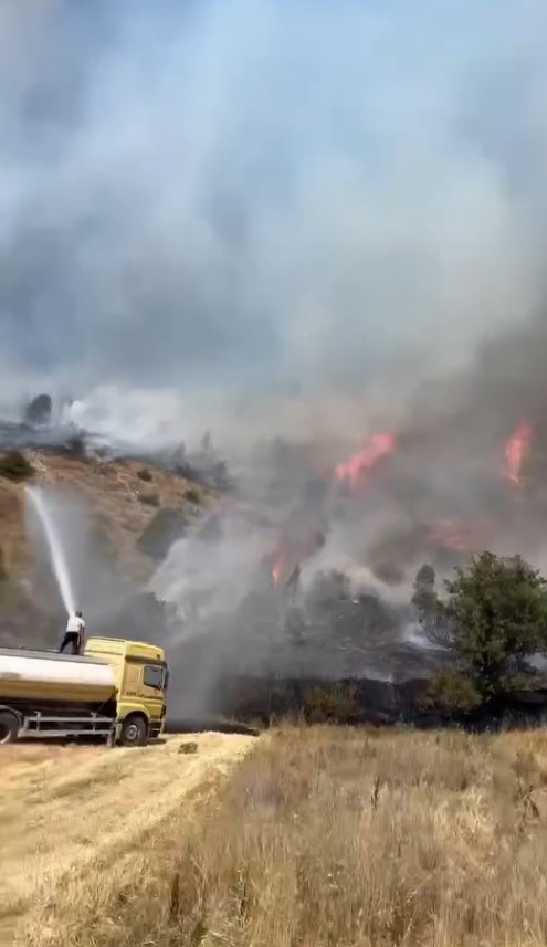 Sivas'ın Hafik İlçesinde Orman Yangını: Ekipler Müdahale Ediyor AW518357 01 | Gündem Sivas™ Haber