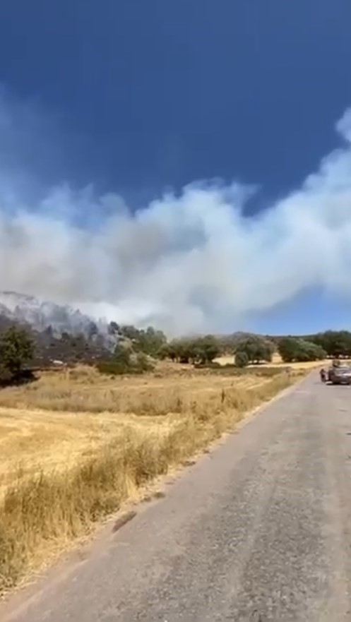 Sivas'ın Hafik İlçesinde Orman Yangını: Ekipler Müdahale Ediyor AW518357 02 | Gündem Sivas™ Haber