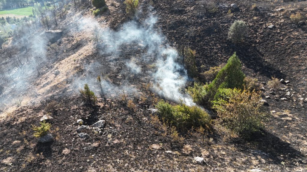 Sivas'ın Hafik İlçesinde Orman Yangını: Ekipler Müdahale Ediyor AW518357 06 1 | Gündem Sivas™ Haber