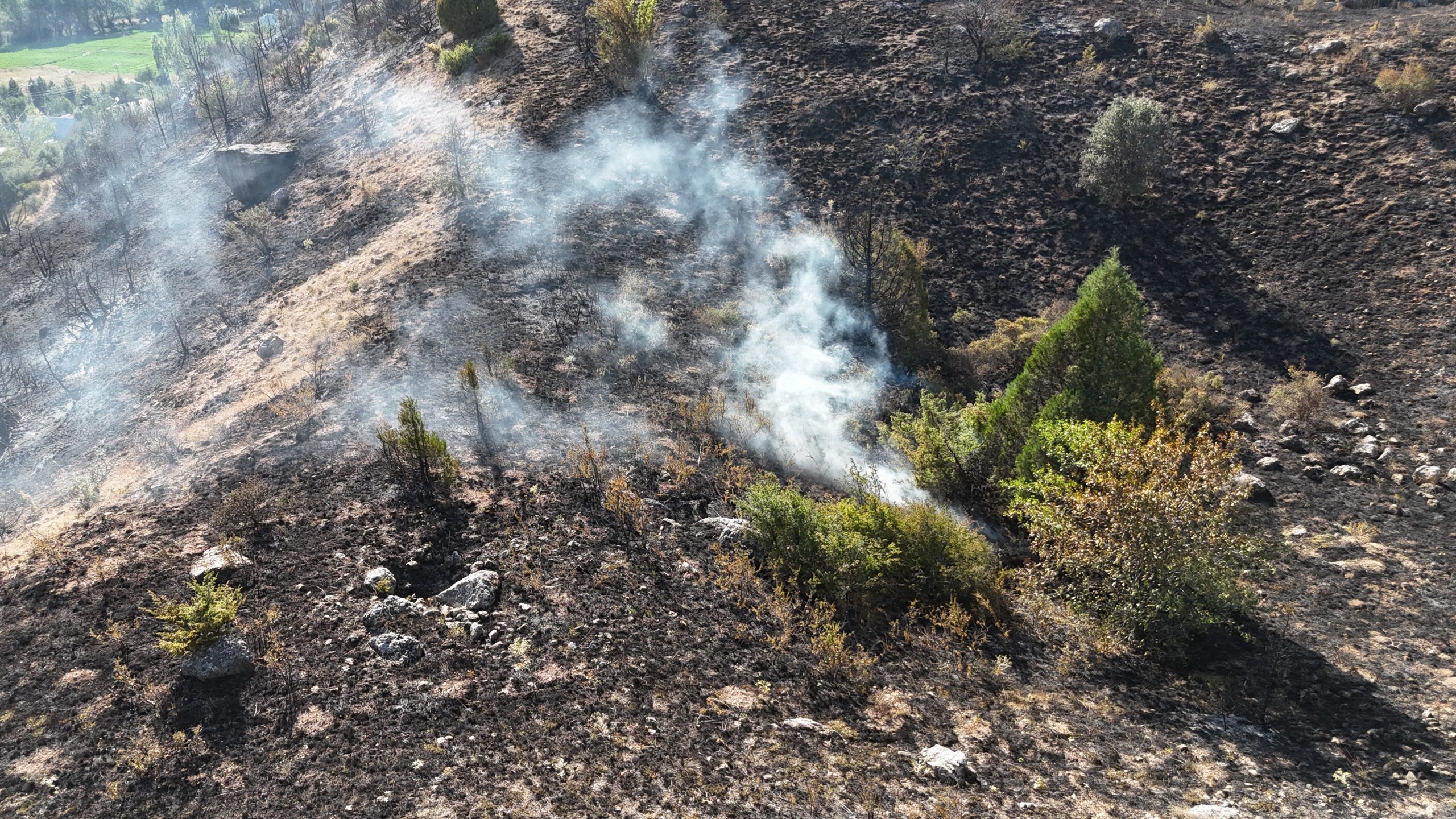 Sivas'ın Hafik İlçesinde Orman Yangını: Ekipler Müdahale Ediyor