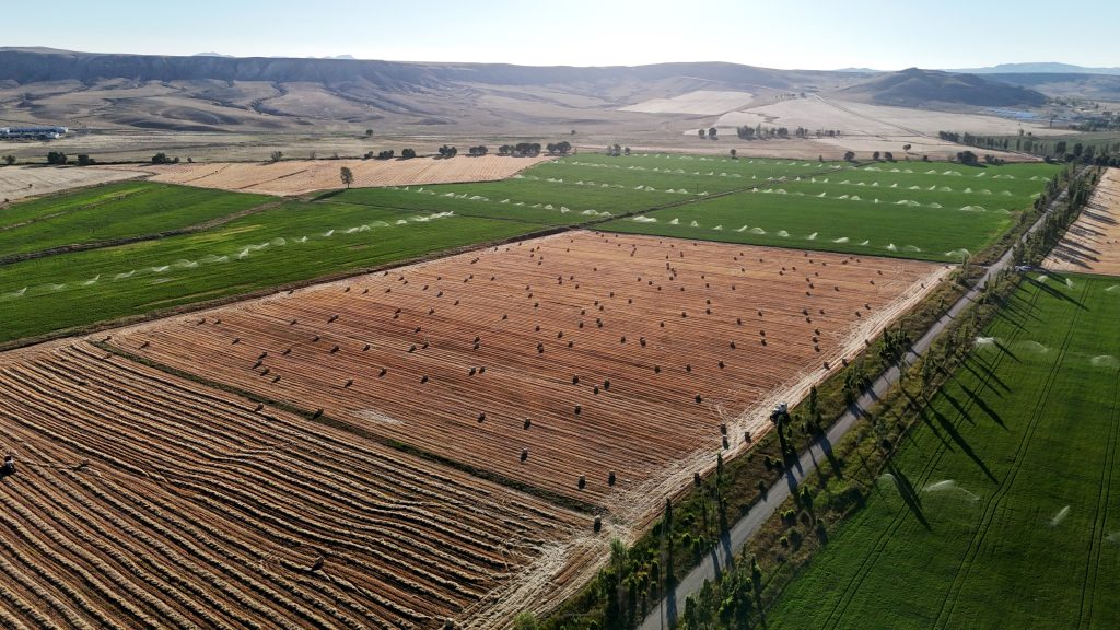 7 Bin Dekardan 1200 Ton Yem: Stratejik Rulo Balya Mesaisi Tamamlanmak Üzere AW520536 02 | Gündem Sivas™ Haber