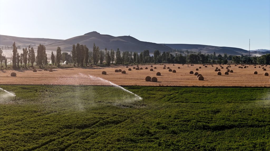 7 Bin Dekardan 1200 Ton Yem: Stratejik Rulo Balya Mesaisi Tamamlanmak Üzere AW520536 03 | Gündem Sivas™ Haber