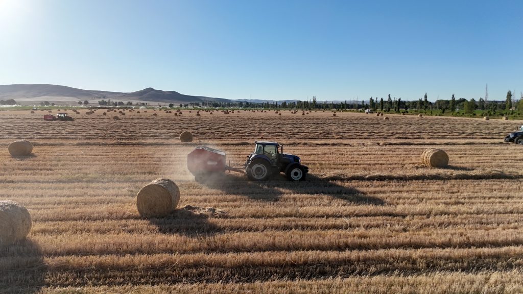 7 Bin Dekardan 1200 Ton Yem: Stratejik Rulo Balya Mesaisi Tamamlanmak Üzere AW520536 06 | Gündem Sivas™ Haber