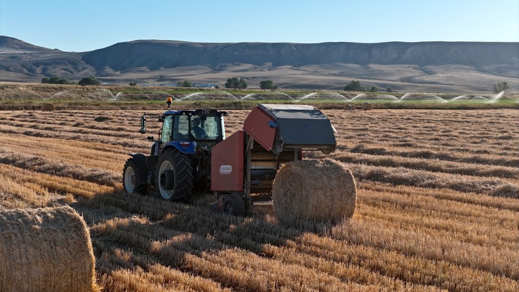 7 Bin Dekardan 1200 Ton Yem: Stratejik Rulo Balya Mesaisi Tamamlanmak Üzere AW520536 07 | Gündem Sivas™ Haber