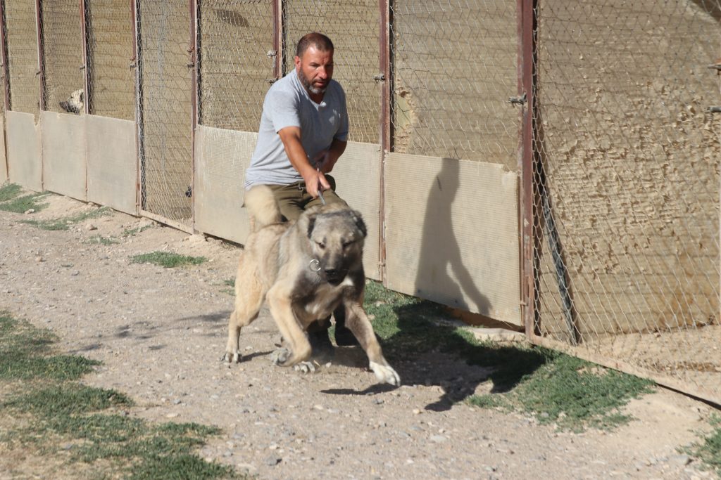 AW524243 03 | Gündem Sivas™ Haber