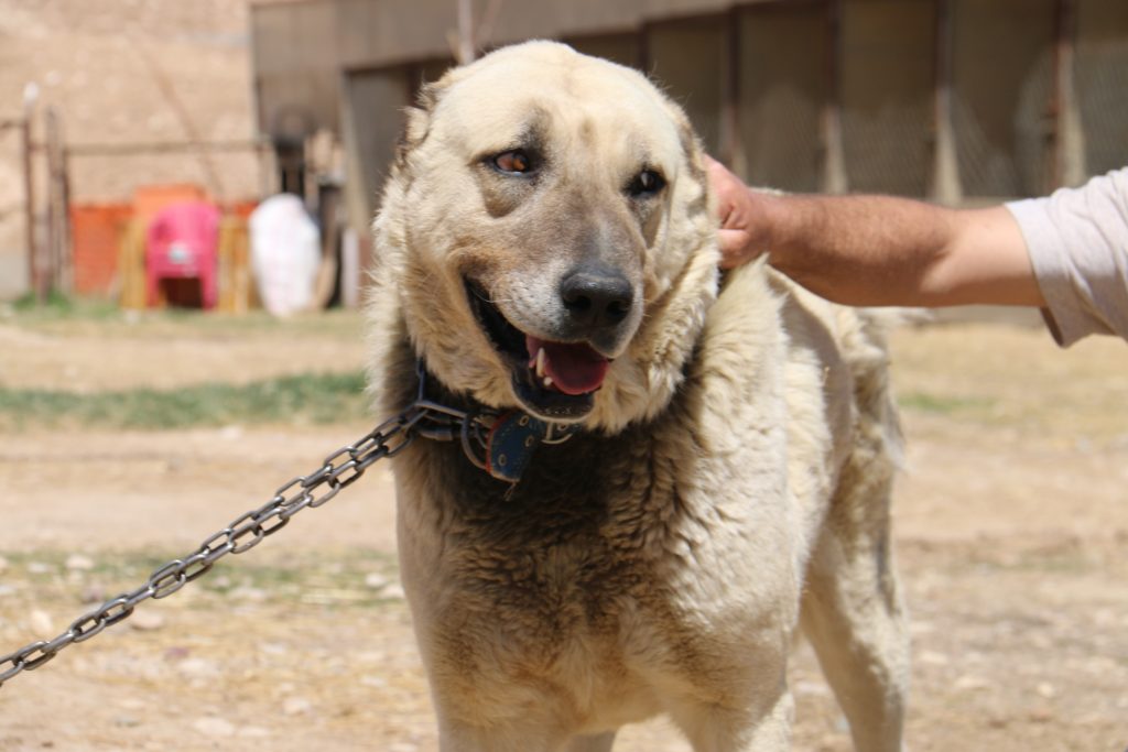 AW524243 07 | Gündem Sivas™ Haber