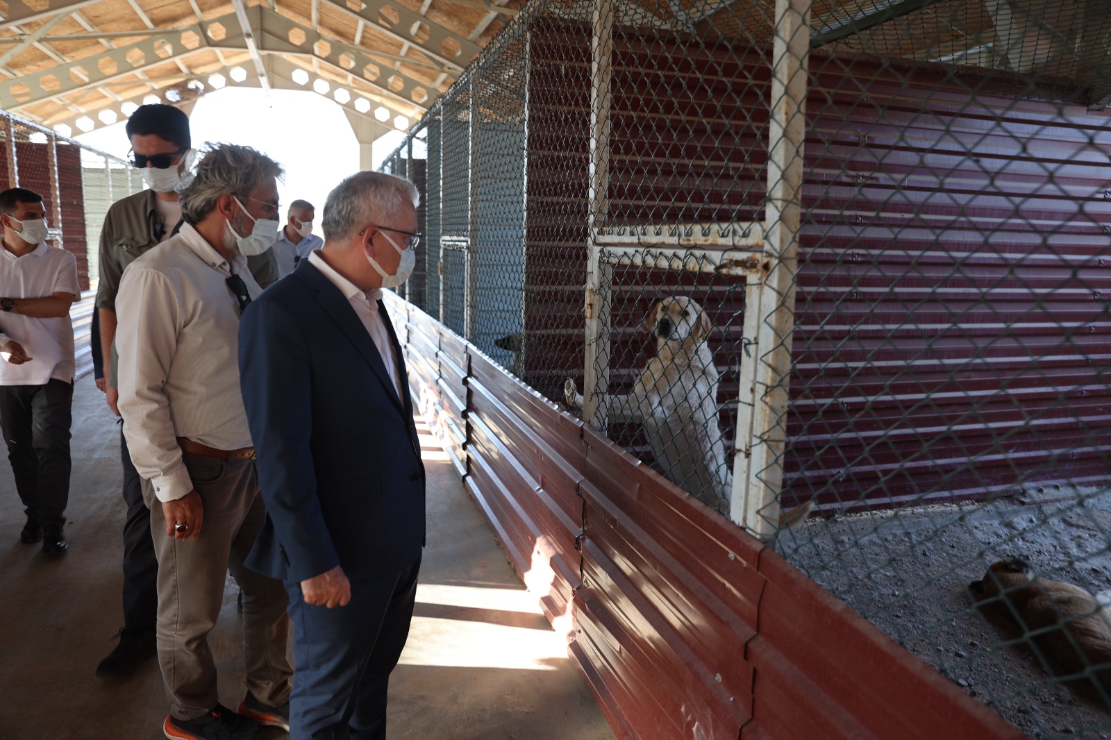 Vali Yılmaz Şimşek, Sokak Hayvanları İçin Kurulan Meraküm Rehabilitasyon Merkezi’ni Ziyaret Etti