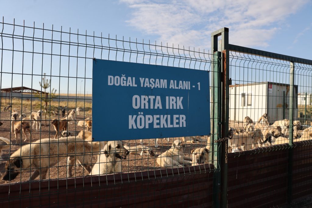 GxmzYlfXQAA 4eU | Gündem Sivas™ Haber