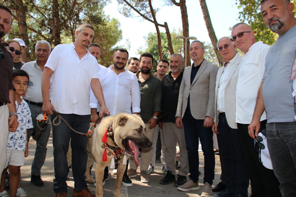 Kocaeli’de Sivas Rüzgarı: 4. Gardaşlık Buluşması Coşkuyla Gerçekleşti
