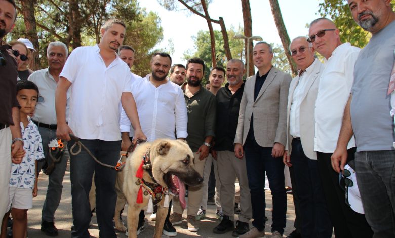 Kocaeli'de Sivas Rüzgarı: 4. Gardaşlık Buluşması Coşkuyla Gerçekleşti | Gündem Sivas™ | Sivas Haberleri IMG 20250811 WA0059 | Gündem Sivas™ | Sivas Haberleri