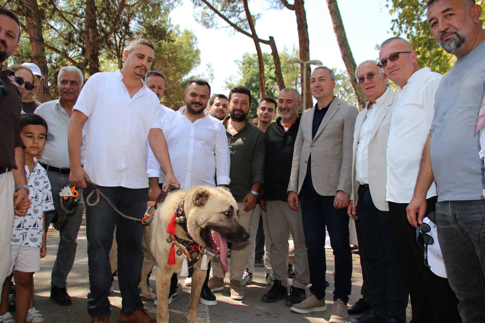 Kocaeli'de Sivas Rüzgarı: 4. Gardaşlık Buluşması Coşkuyla Gerçekleşti