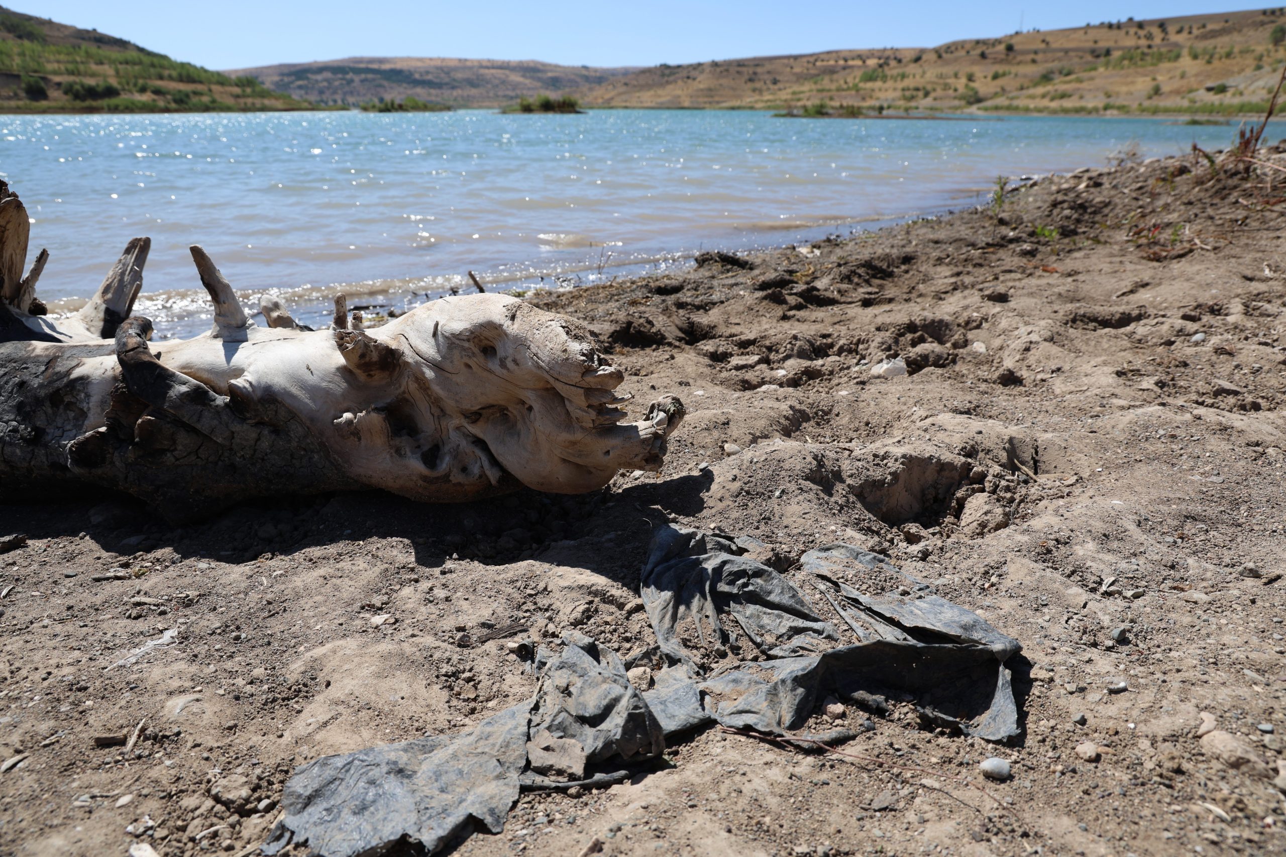 Sivas’ta 4 Eylül Barajında Tehlikeli Düşüş
