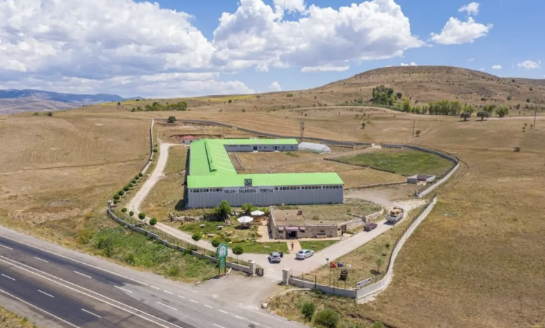 keci ciftligi sivas | Gündem Sivas™ Haber