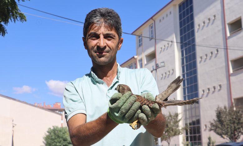 sahin sivas 3 | Gündem Sivas™ Haber