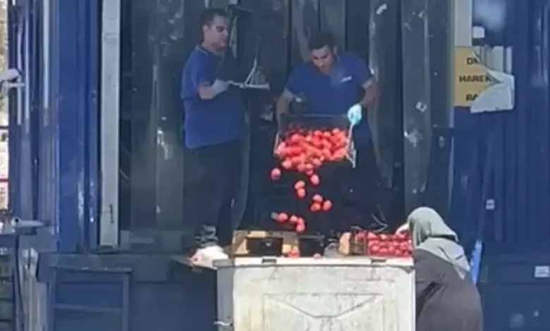 Ticaret Bakanlığı’ndan Açıklama: “Domatesler Çöpe Dökülmedi, Salçalık-Sosluk Olarak Satıldı” t25 domateslerin cope dokulme 815.jpg | Gündem Sivas™ Haber