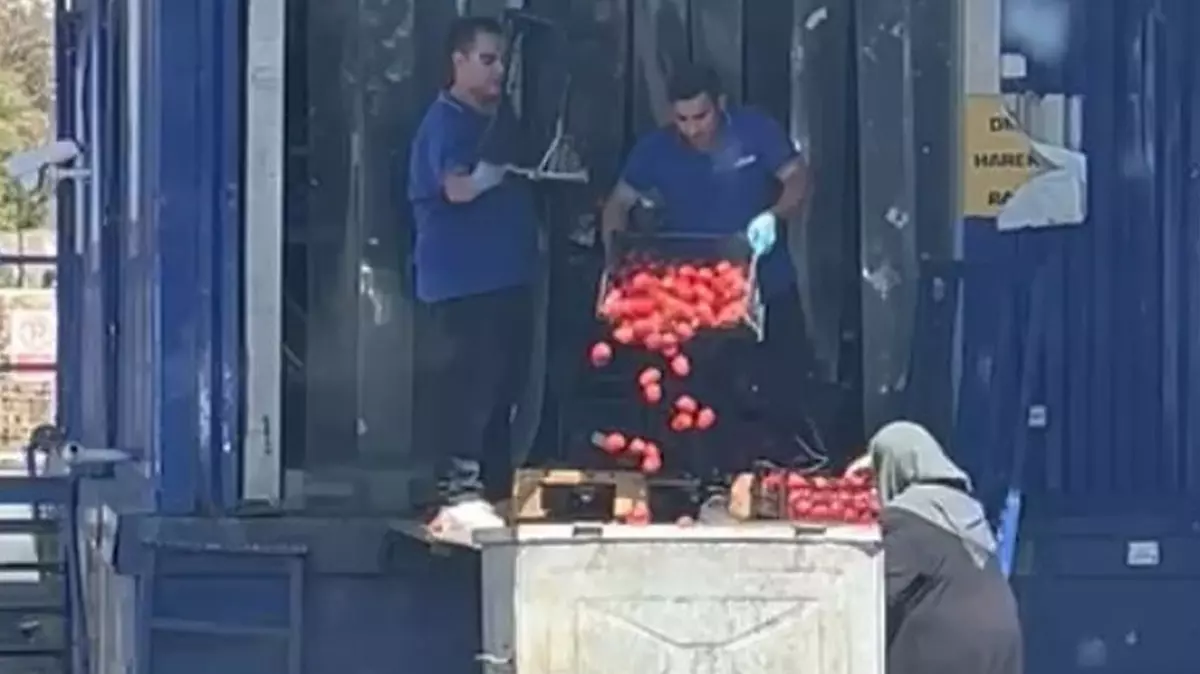 Ticaret Bakanlığı’ndan Açıklama: “Domatesler Çöpe Dökülmedi, Salçalık-Sosluk Olarak Satıldı”