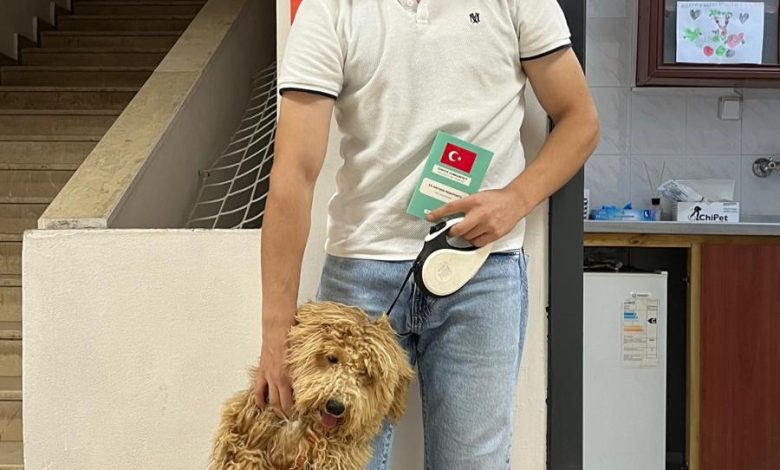 Sivas'ta Can Dostlarımızın Sağlığı İçin Kimliklendirme Kampanyası Devam Ediyor 3712020466270473216 36809639785 | Gündem Sivas™ Haber