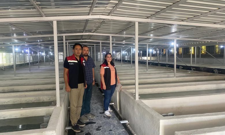 Sivas'ta İthal Alabalık Yumurtası Denetimi Yapıldı 3712837806096697636 36809639785 | Gündem Sivas™ Haber