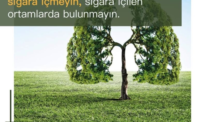 Sivas İl Sağlık Müdürlüğü Halk Sağlığı Haftası'nda Bilgilendirme Çalışmaları Yürüttü 3714084963584071986 7520692368 | Gündem Sivas™ Haber