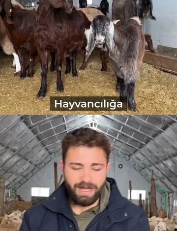 Sivas'ta Genç Girişimci Emre Gültekin, Tarım Destekleriyle İşletme Sahibi Oldu 3716913627970851922 36809639785 | Gündem Sivas™ Haber