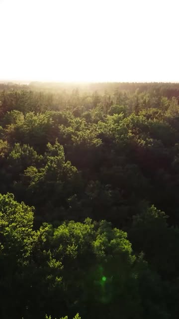 Sivas'ta Geleceğe Nefes Projesiyle Minik Eller Fidanlarla Buluştu