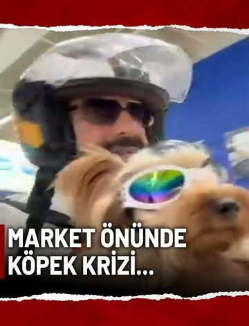 Bursa'da Marketten Köpeğiyle İçeri Alınmayan Vatandaş İsyan Etti 3720657725688923249 976408710 | Gündem Sivas™ Haber