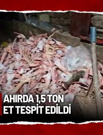 Kayseri'de 1.5 Ton Mühürsüz Et İmha Edildi 3722125502367866460 976408710 | Gündem Sivas™ Haber