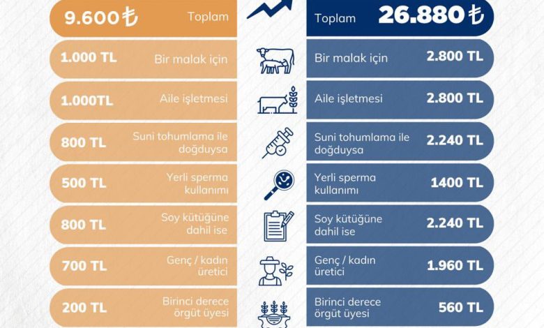 Sivas'ta Hayvansal Üretim Desteklerle Güçleniyor 3724307760444662177 36809639785 | Gündem Sivas™ Haber