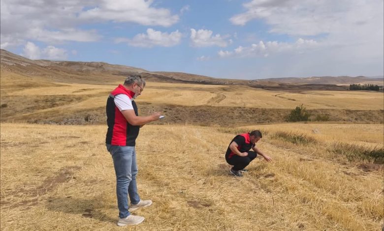 Sivas'ta 2025 Üretim Sezonu İçin Tarla Kontrolleri Başladı 3724373762188552839 36809639785 | Gündem Sivas™ Haber