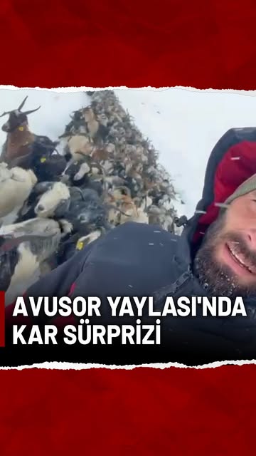 Rize’de Kar Fırtınası: Avusor Yaylası’nda Mahsur Kalan Hayvanlar Kurtarıldı