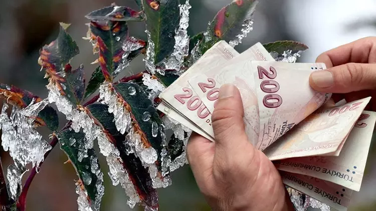 Zirai Don Mağduru Çiftçilere Destekleme Ödemesi Resmî Gazete’de Yayımlandı
