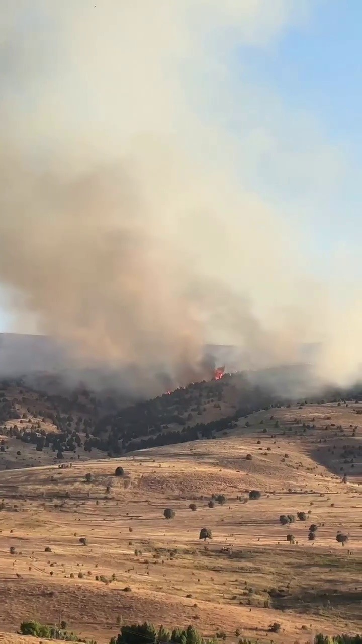 Sivas İmranlı’da Örtü Yangını Ağaçlık Alana Sıçradı