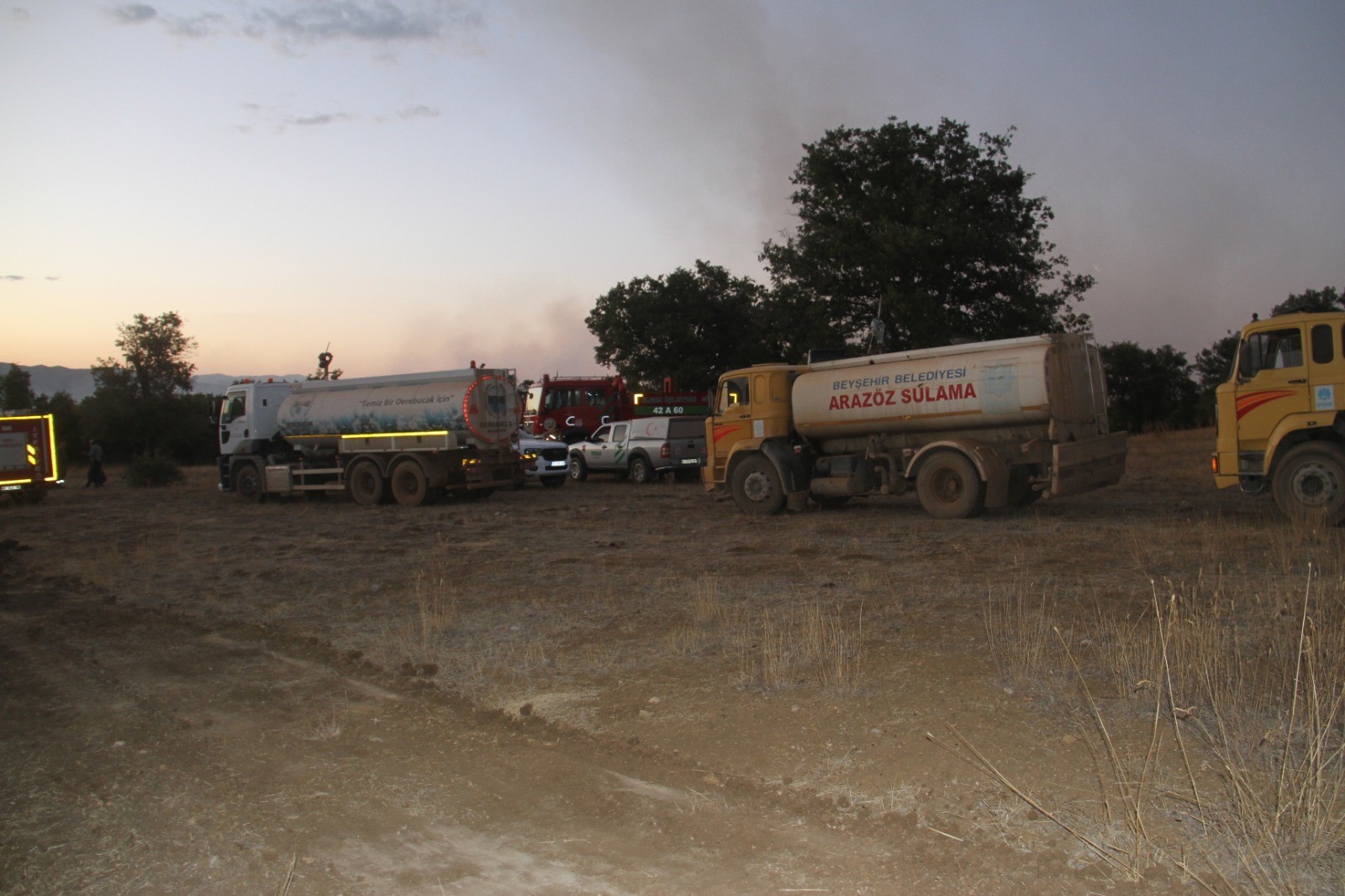 Beyşehir Gölü’nde Sazlık Yangını Ormana Sıçradı: Söndürme Çalışmaları Sürüyor