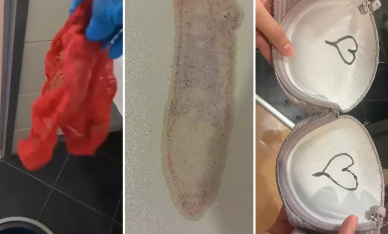 Kız yurduna tadilat için gelen işçilerin yaptıkları mide bulandırdı: Sütyenlerin içine... kiz yurduna tadilat icin gelen iscilerin 19060300 9432 amp.jpg | Gündem Sivas™ Haber