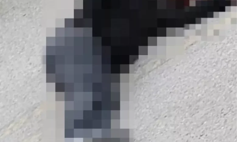 Uzman çavuş olan bacanağını öldürdükten sonra intihar etti uzman cavus olan bacanagini oldurdukten sonra 19052325 1762 amp.jpg | Gündem Sivas™ Haber