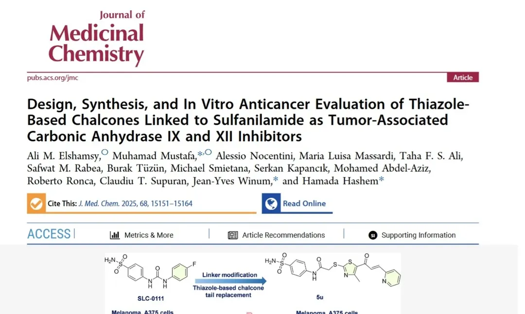 Sivas Cumhuriyet Üniversitesi Akademisyenlerinin Kanser Araştırması Prestijli Dergide