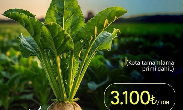 3735225547723650159 36809639785 | Gündem Sivas™ Haber