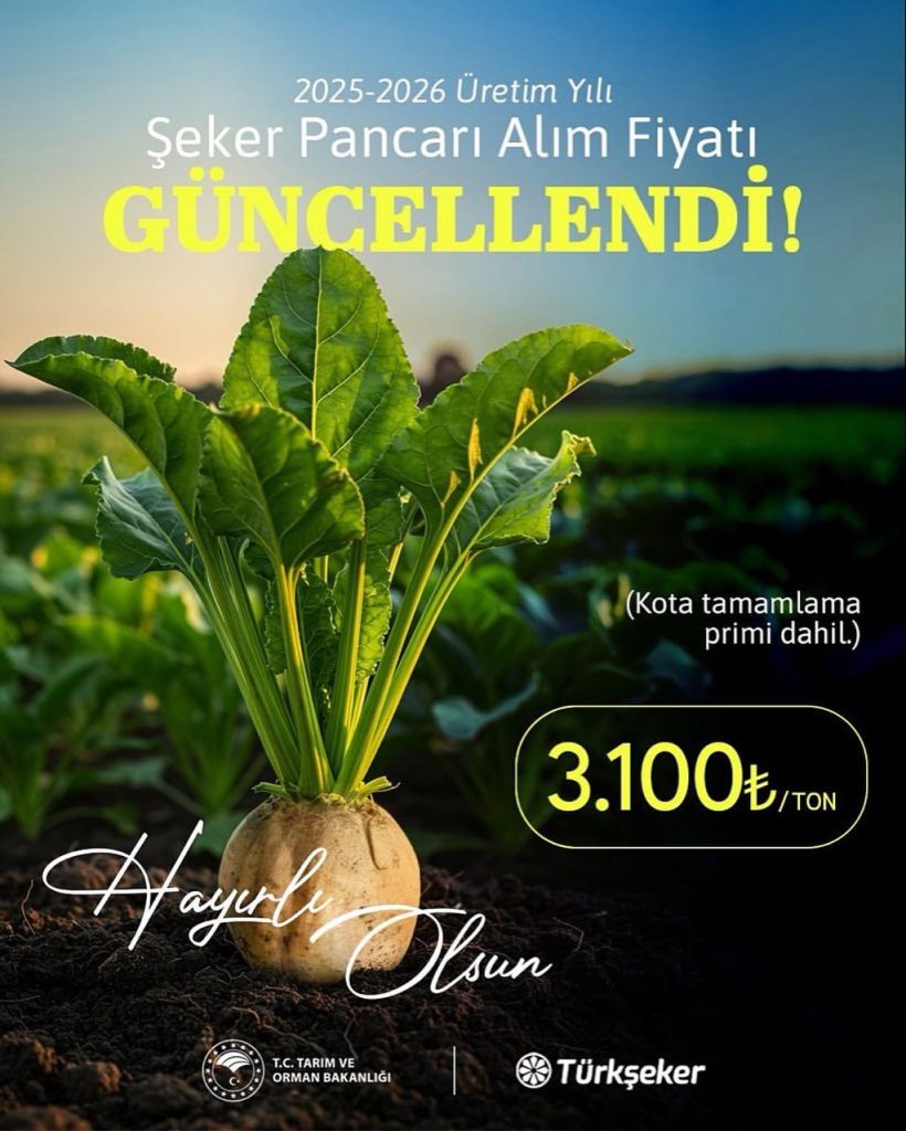 2025-2026 Üretim Yılı Şeker Pancarı Alım Fiyatı Açıklandı
