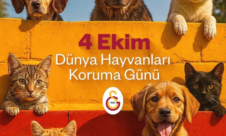3735792730342189949 301557358 | Gündem Sivas™ Haber