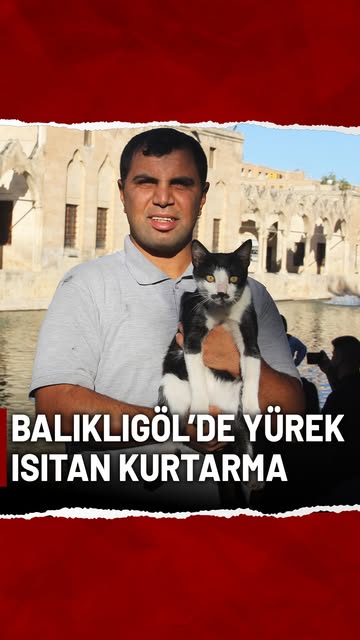 Balıklıgöl’de Boğulmak Üzere Olan Kedi, Kalp Masajı ile Hayata Döndürüldü