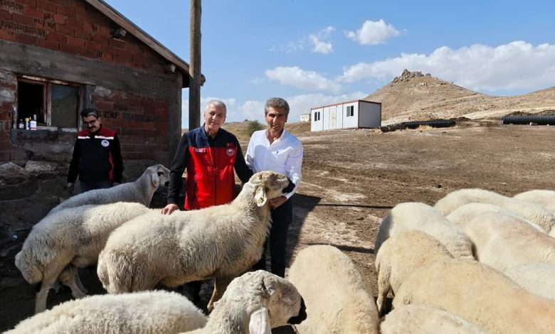 3735867539520534438 36809639785 | Gündem Sivas™ Haber