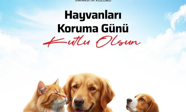 Beşiktaş, Hayvanları Koruma Günü'nde Anlamlı Mesaj Verdi 3736007131603197455 358954311 | Gündem Sivas™ Haber
