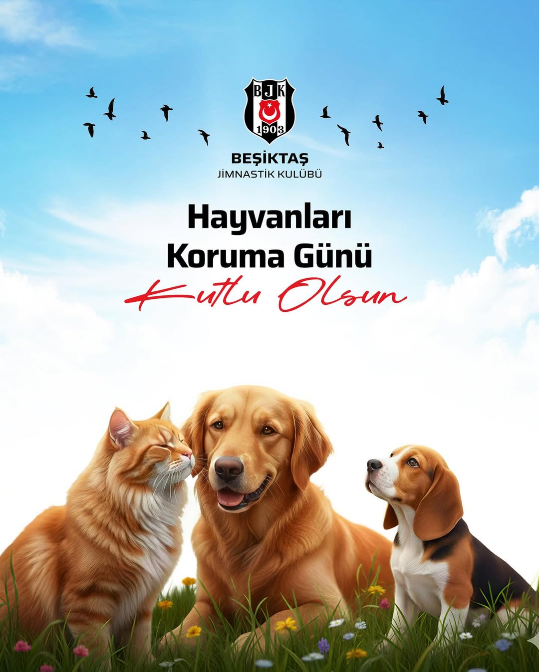 Beşiktaş, Hayvanları Koruma Günü'nde Anlamlı Mesaj Verdi