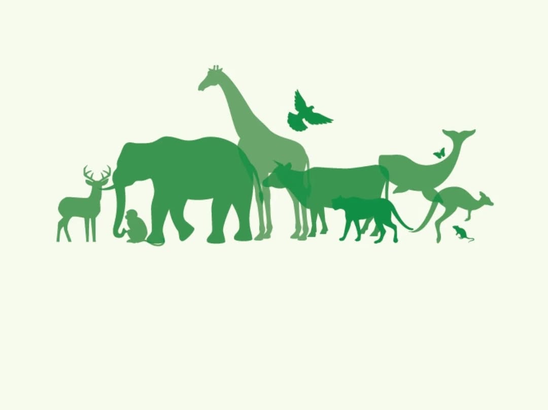 Sivas Cumhuriyet Üniversitesi'nden 4 Ekim Dünya Hayvanları Koruma Günü'nde Anlamlı Mesaj