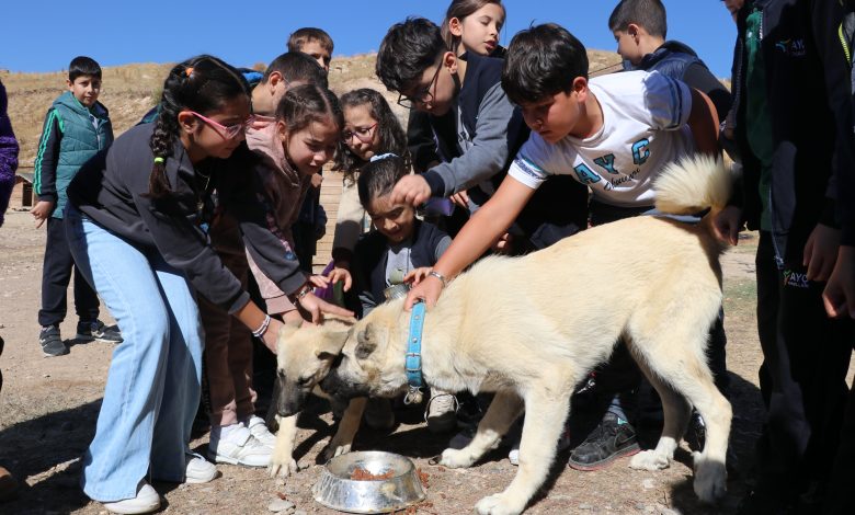 AW552758 07 | Gündem Sivas™ Haber