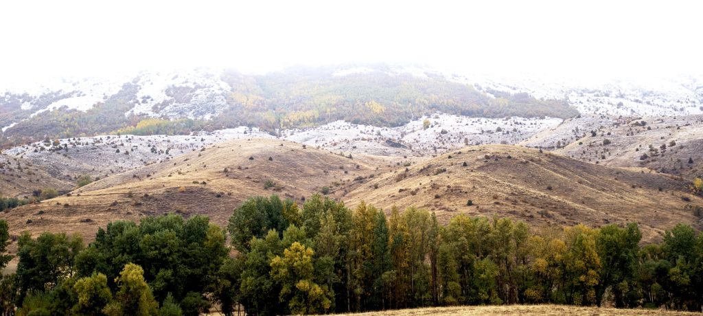 AW557651 04 | Gündem Sivas™ Haber