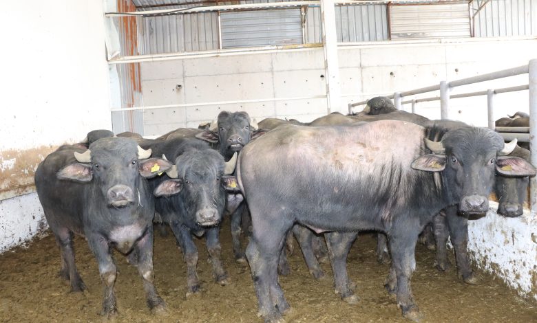 AW559117 01 | Gündem Sivas™ Haber