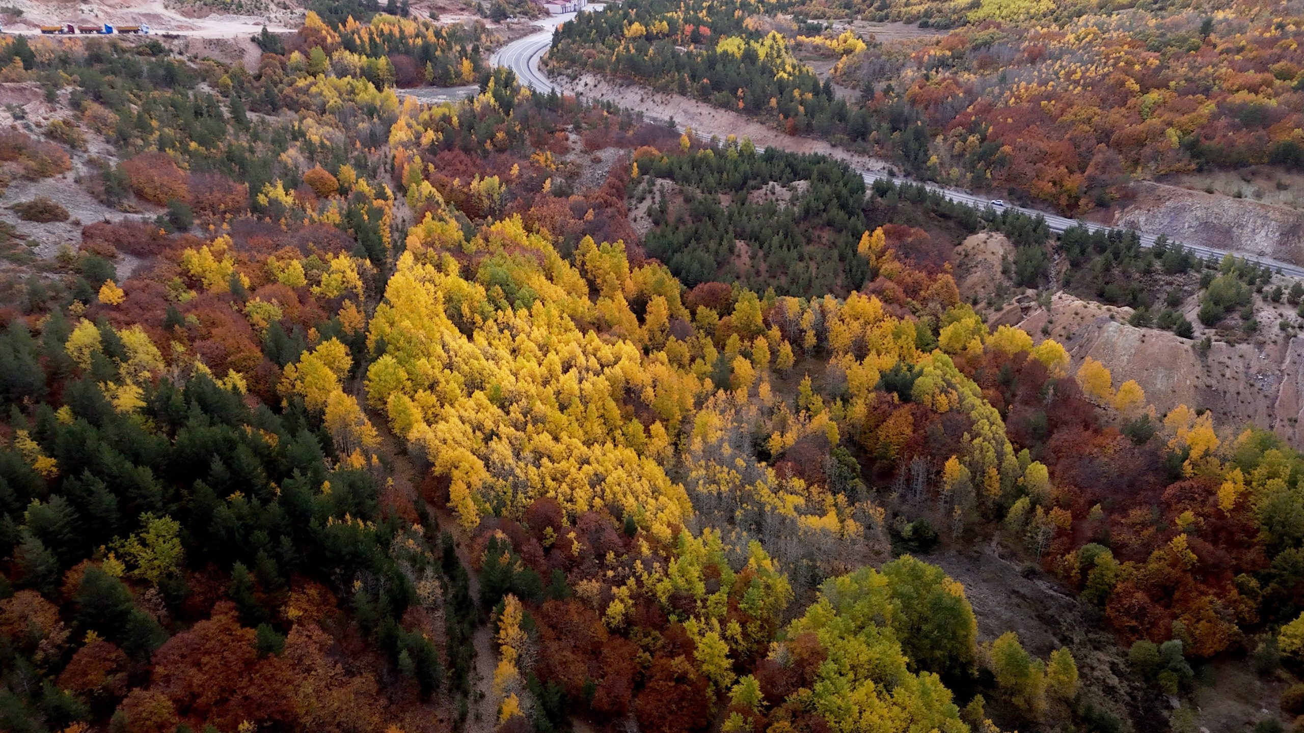 Geminbeli Geçidi'nde Sonbaharın Büyüleyici Renk Cümbüşü Drone ile Görüntülendi